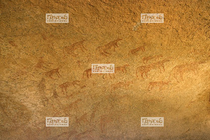 Sahara, Hoggar, Erafezen, peinture rupestre, troupeaux de buffles