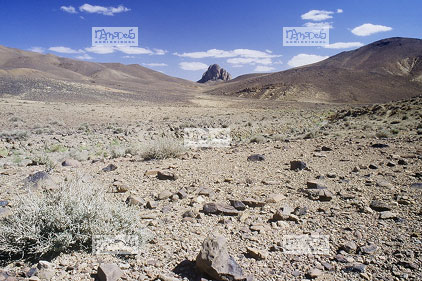 Sahara, Hoggar, Mont Oule, dsert de pierres