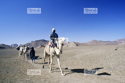 Sahara, Hoggar, Abankour, caravane, touareg