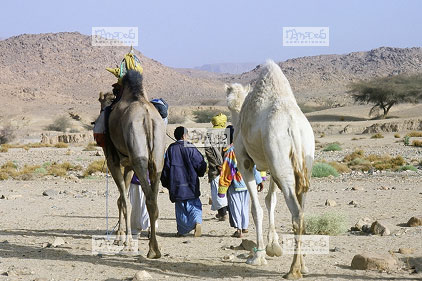 Sahara, Hoggar, Oued Tahegart, caravane, touareg