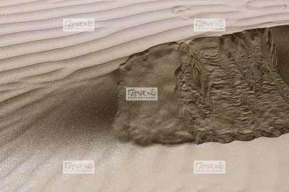 Sahara, Hoggar, Ibrouss, dune, sable (plan rapproch�)