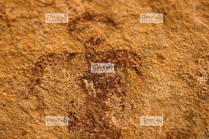 Sahara, Hoggar, Ibrouss, peinture rupestre, homme (vue rapproch�e)