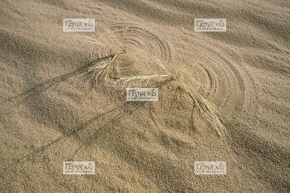 Sahara, Hoggar, Habalbat, alpha