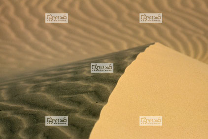 Sahara, Hoggar, Inakecheker, la Bage, dunes (plan rapproch�)