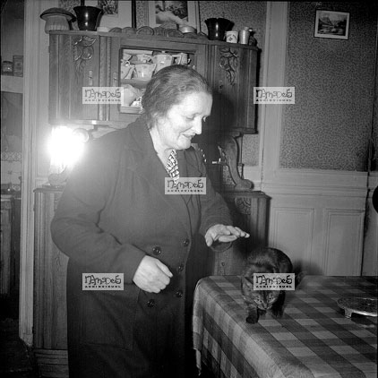 Paris, 21-04, Vol chez le Pr�sident de la Cour, domicile, le chat qui fit d�couvrir le vol