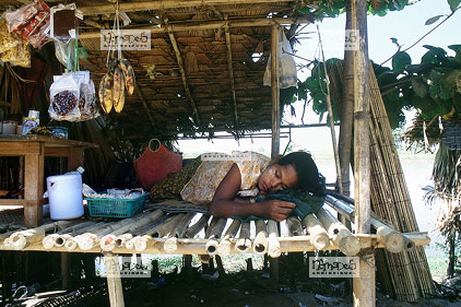 Village de p�cheurs entre Bago et Kyaiktiyo, Maison sur pilotis, vente de poissons, femme endormie