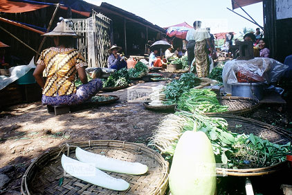 Village de p�cheurs entre Bago et Kyaiktiyo, Ruelle du march�, l�gumes
