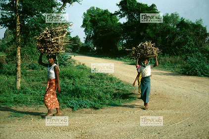Pagan, jeunes porteuses de bois