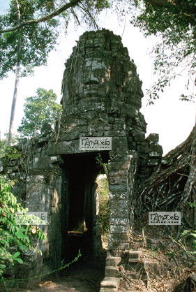 Angkor, Ta Prohm