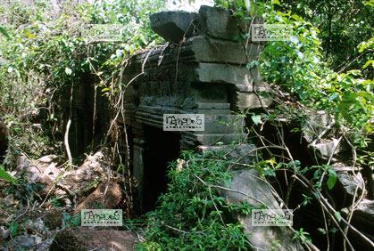 Angkor, Ta Prohm