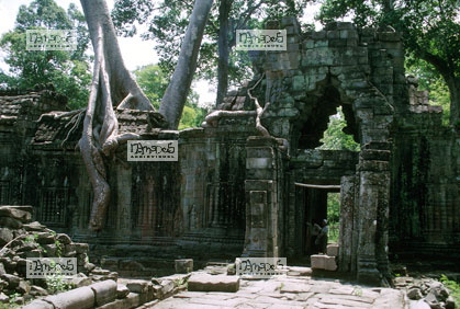 Angkor, Ta Prohm