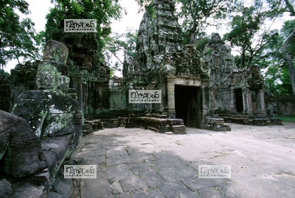 Angkor, Ta Prohm