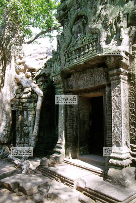 Angkor, Ta Prohm