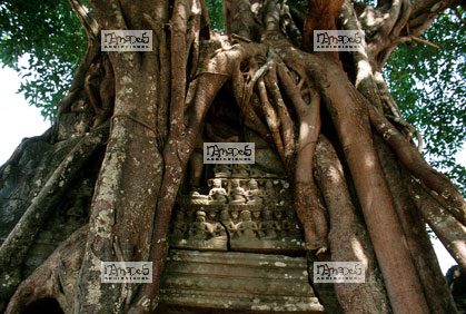 Angkor, Ta Prohm
