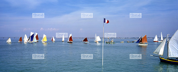 Saint Trojan les Bains, R�gate de vieux gr�ments