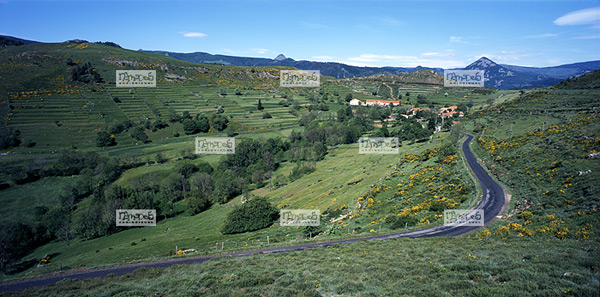 Europe, France, Massif central, 07 Ard�che, Commune de La Champ Rapha�l, le hameau du Chambon