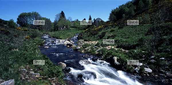 Europe, France, Massif central, 07 Ard�che, la commune de St Martial, la Loire, devant le Mont Gerbier de Jonc, volcanisme