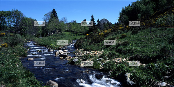 Europe, France, Massif central, 07 Ard�che, la commune de St Martial, la Loire, devant le Mont Gerbier de Jonc, volcanisme