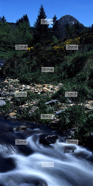 Europe, France, Massif central, 07 Ard�che, la commune de St Martial, la Loire, devant le Mont Gerbier de Jonc, volcanisme