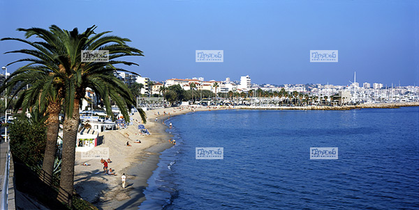 Europe, France, Provence, C�te d'Azur, 06 Alpes Maritimes -  Golfe Juan, Plage, Port et Palmiers