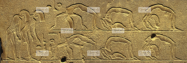 Afrique, �gypte, Mus�e de Louxor, danseuses acrobates  (Karnak - Nouvel Empire)