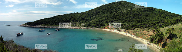 Europe, Croatie, �le de Lopud, plage de sable de 