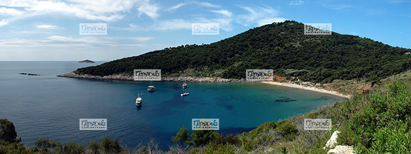 Europe, Croatie, �le de Lopud, plage U. Sunj