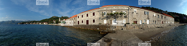 Europe, Croatie, �le de Lopud, treille